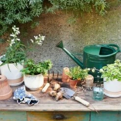 Garden Haven Store -Garden Haven Store unnamed file 10