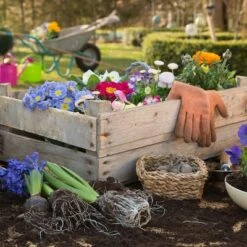 Nature Spring Rolling Garden Seat With Wheels - Black/Green -Garden Haven Store unnamed file 1062