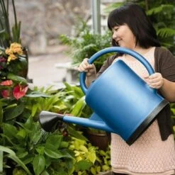 French Blue Watering Can, 3 Gallon Indoor Outdoor Watering Can with Removable Stainless Steel Faceplate Rose Attachment - Gardener's Supply Company -Garden Haven Store unnamed file 208