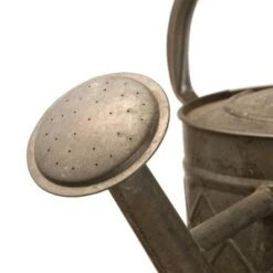 Garden Accents Antique Watering Can Black 12" - National Tree Company 7 Garden Accents Antique Watering Can Black 12" - National Tree Company -Garden Haven Store unnamed file 321