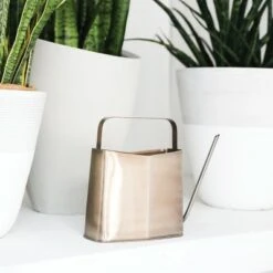 Modern Sprout Watering Can, Long Spout for Indoor/Outdoor Use, Brass, 3 Liters -Garden Haven Store unnamed file 373