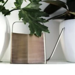 Modern Sprout Watering Can, Long Spout for Indoor/Outdoor Use, Brass, 3 Liters -Garden Haven Store unnamed file 374