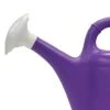 Union Products 63071 2 Gallon Plastic Indoor/Outdoor Watering Can w/ Tulip Design for Garden, Potted Plants, & Patio Pots, Purple -Garden Haven Store unnamed file 481