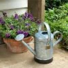 Park Hill Collection Petite Potager Metal Watering Can -Garden Haven Store unnamed file 514