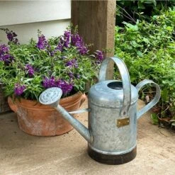 Park Hill Collection Petite Potager Metal Watering Can