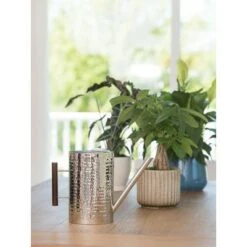 Gardener's Supply Company Stainless Steel Watering Can - GARDENER'S SUPPLY CO. 7 Gardener's Supply Company Stainless Steel Watering Can - GARDENER'S SUPPLY CO. -Garden Haven Store unnamed file 523