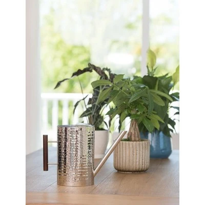 Gardener's Supply Company Stainless Steel Watering Can - GARDENER'S SUPPLY CO. 5 Gardener's Supply Company Stainless Steel Watering Can - GARDENER'S SUPPLY CO. - Image 3