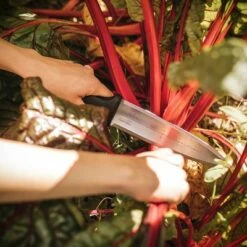 Fiskars Hori Hori Resin Hand Weeder Black 15 Fiskars Hori Hori Resin Hand Weeder Black -Garden Haven Store unnamed file 545