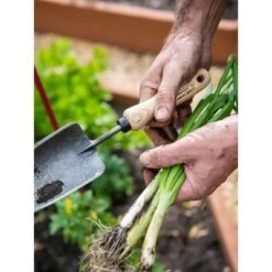 Gardener's Supply Company Premium Hand Forged Trowel Lifetime Guarantee - Gardener's Supply Company 7 Gardener's Supply Company Premium Hand Forged Trowel Lifetime Guarantee - Gardener's Supply Company -Garden Haven Store unnamed file 588