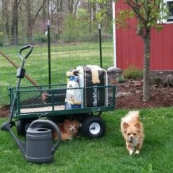 Sunnydaze Decor Sunnydaze Outdoor Lawn and Garden Heavy-Duty Durable Steel Mesh Utility Dump Wagon Cart with Removable Sides - Green -Garden Haven Store unnamed file 918